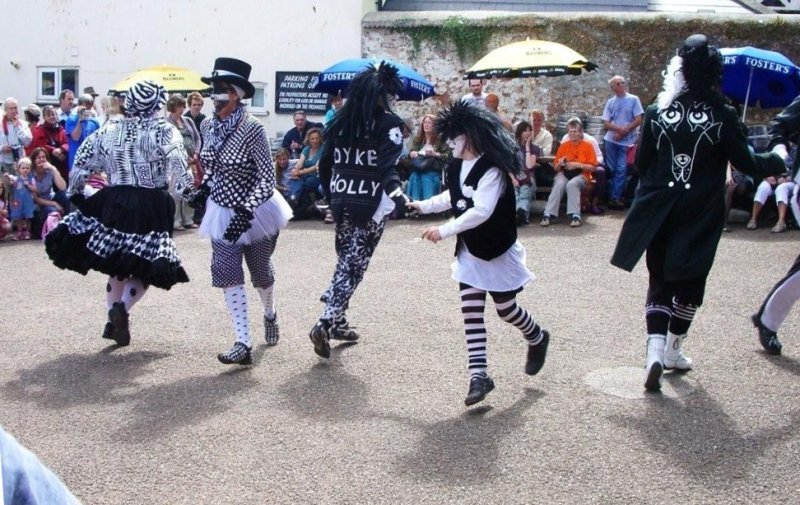 <p>Sidmouth 2010 - Anchor Gardens afternoon ceilidh - dance display.</p>